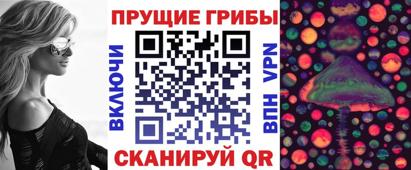 Галлюциногенные грибы GOLDEN TEACHER  маркетплейс какой сайт  Москва 